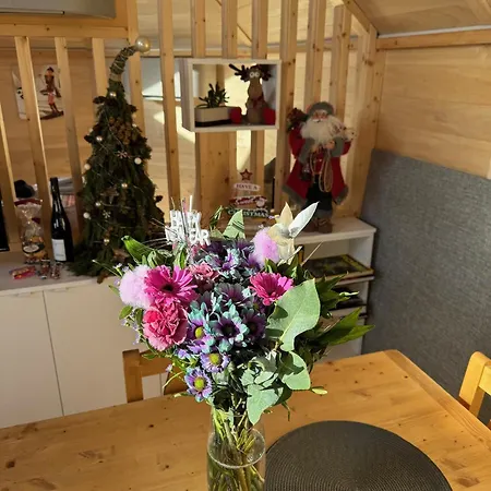 Les Kotas Du Bonheur