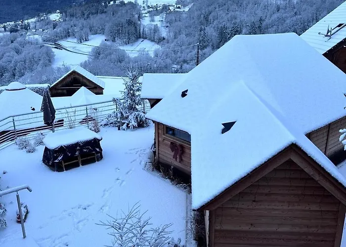 Les Kotas Du Bonheur *