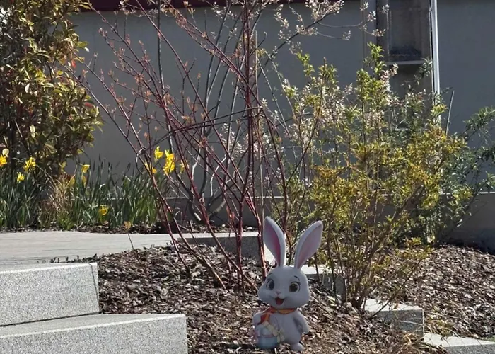 Les Kotas Du Bonheur Soultzeren